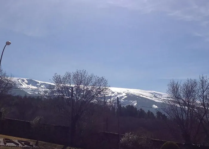 Argentino 게스트하우스 베하르